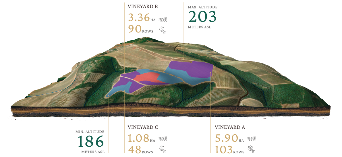 Vigna Marrucheto Banfi - Brunello di Montalcino DOCG